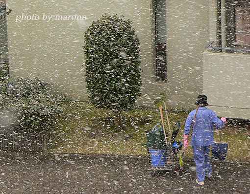 雪日の１コマ_f0019849_15514099.jpg