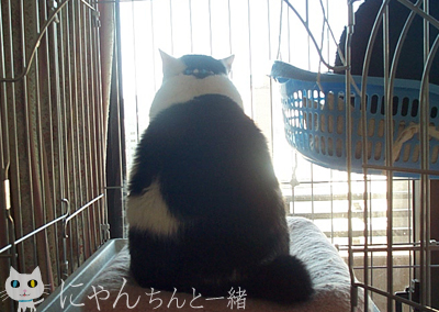 思えば遠くへ来たものだ_e0031853_8291813.jpg