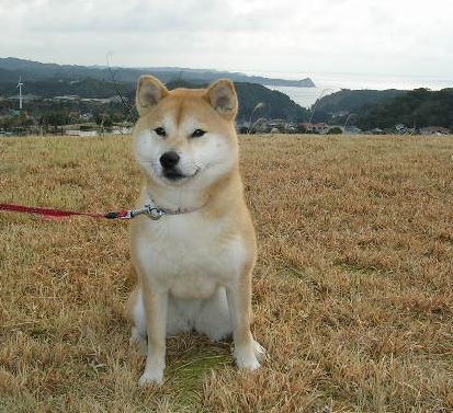 2006年3月13日美味しい生活!_f0060461_1915367.jpg