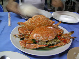 a0002177_0283747.jpg
