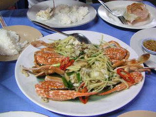 a0002177_029554.jpg