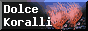 e0049877_7144122.gif