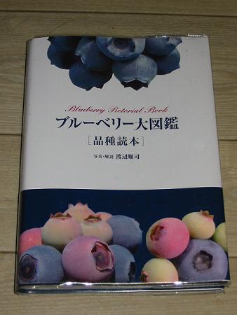 【希少本】ブルーベリー大図鑑 : 品種読本 Amazon.co.jp: ブルーベリー大図鑑 : 本