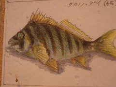 c0033992_0105497.jpg
