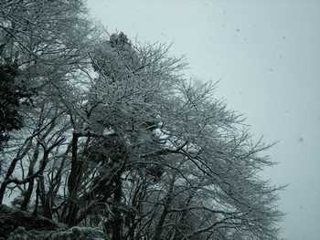 f0040703_1672949.jpg