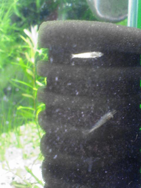 b0048509_2027890.jpg