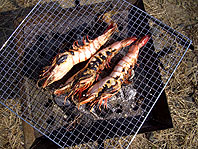 f0071412_9593899.jpg