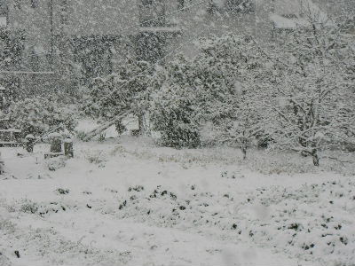 e0060041_21375164.jpg