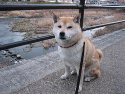 寒さもこれで最後~?_c0049950_21184182.jpg