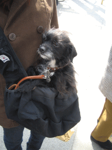 b0035453_21175867.gif