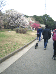 b0035453_21274361.gif