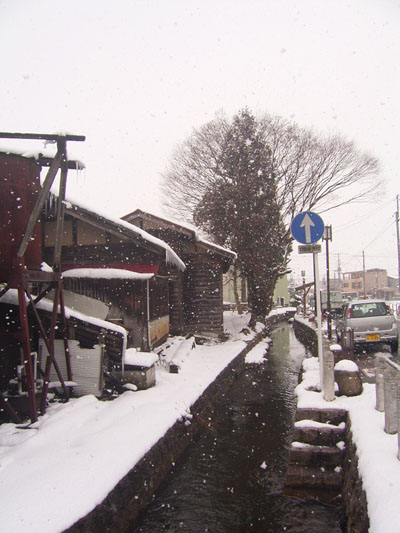 なごり雪_e0082981_2048599.jpg