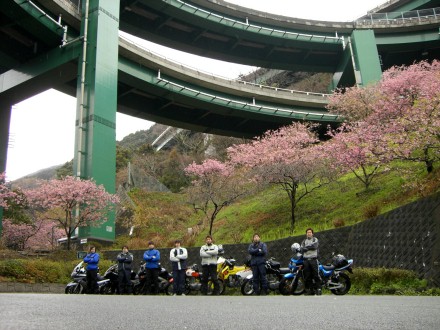 河津桜お花見ツーリング　最終回_d0040882_19222514.jpg