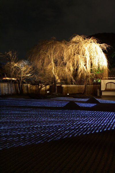 東山花灯路（石塀小路～高台寺～圓徳院）_e0051888_612254.jpg