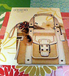 COACH☆ＤＭ来たよ〜_a0030789_0381210.jpg