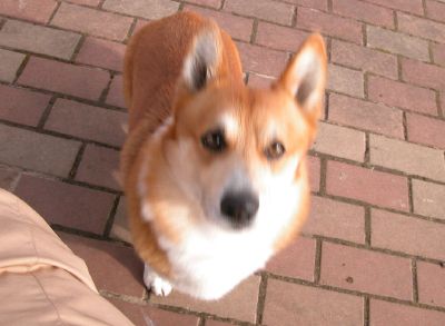 f0075595_03388.jpg
