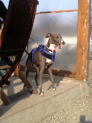 c0003217_0175889.jpg