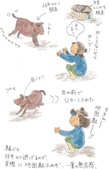 b0015222_20252931.gif