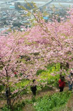 b0042334_023429.jpg