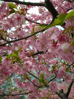 b0042334_024621.jpg