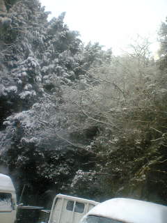 a0053063_13305529.jpg