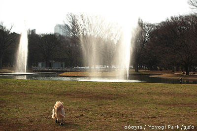 梅を探して_f0054594_563443.jpg