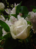 c0049902_21132359.jpg