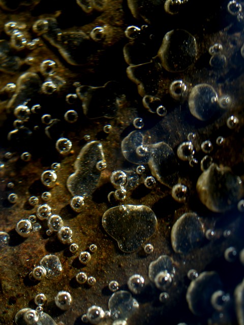 c0071611_92598.jpg