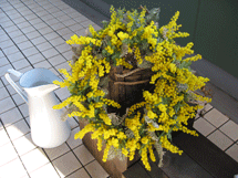 d0033230_12395616.gif