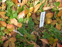 b0042334_125567.jpg