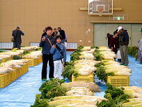 f0052070_14464296.jpg