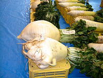 f0052070_1447863.jpg