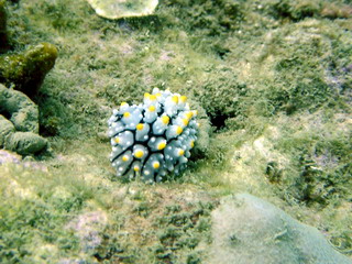 a0002177_20522143.jpg