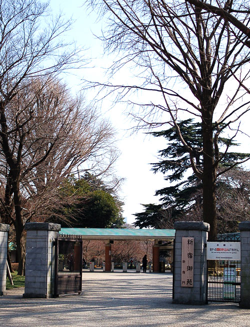 c0009981_60416.jpg