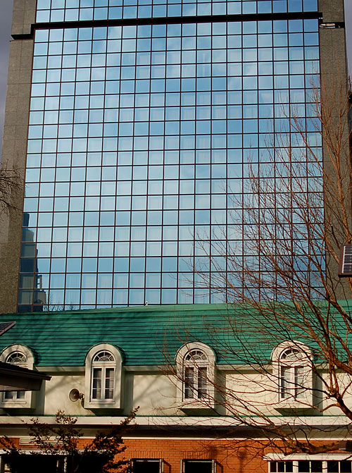 c0009981_61476.jpg