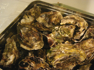 f0046982_14244596.jpg