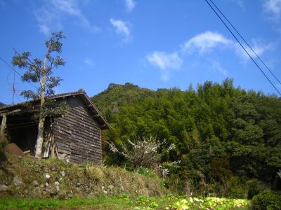 山口尚芳_d0047811_22511862.jpg