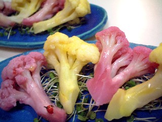 f0043911_121642.jpg