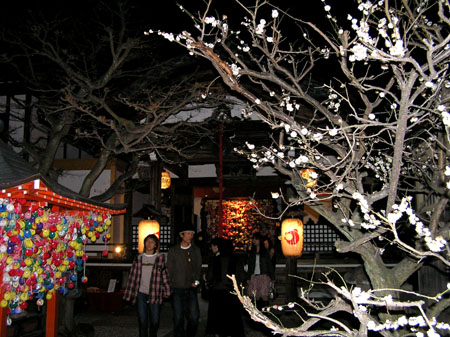 京都・東山花灯路3_e0048413_23503394.jpg