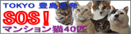 e0000126_15121955.gif