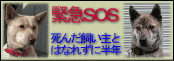 e0000126_15131141.gif