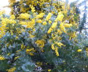 e0068042_11372414.jpg
