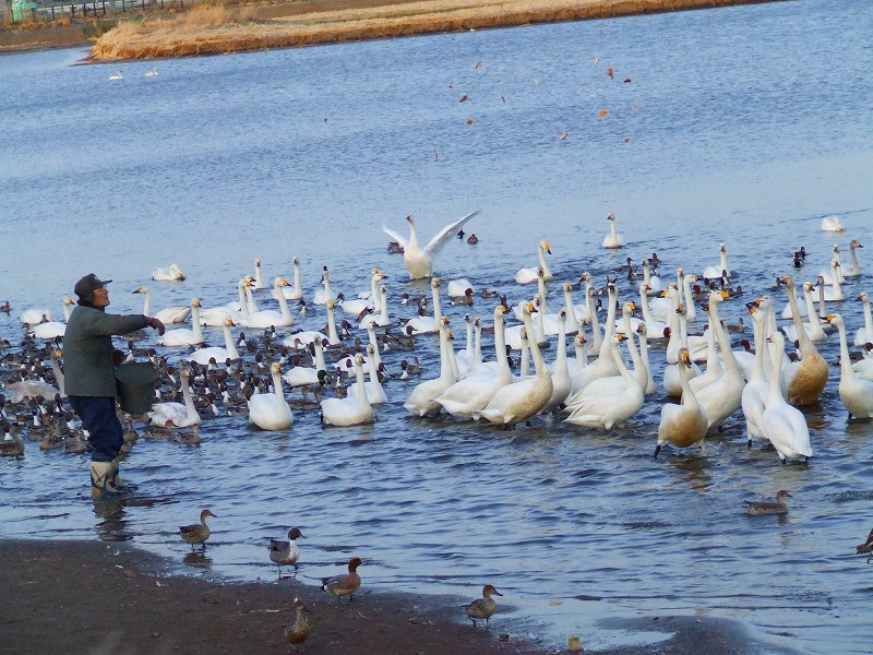 a0036649_96950.jpg