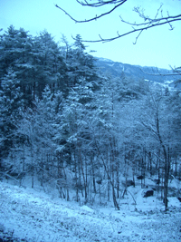 b0037160_10535848.gif