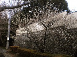 東京をぶらりと。_d0028589_18451828.jpg