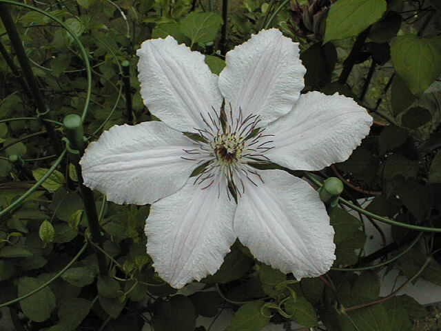 a0048790_21384538.jpg
