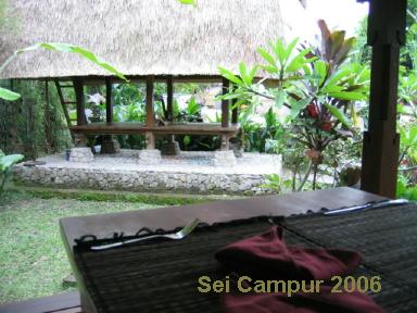 e0073791_148843.jpg