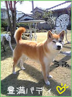 c0060620_2236348.jpg