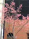 a0025535_931091.jpg