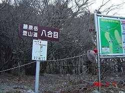d0055236_19334988.jpg